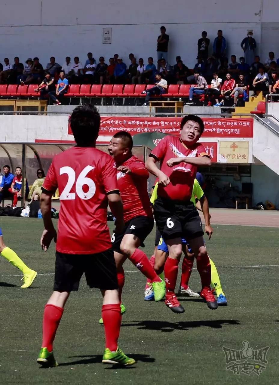 关于青海队在最新一场比赛中获得重要胜利，表现不俗的信息