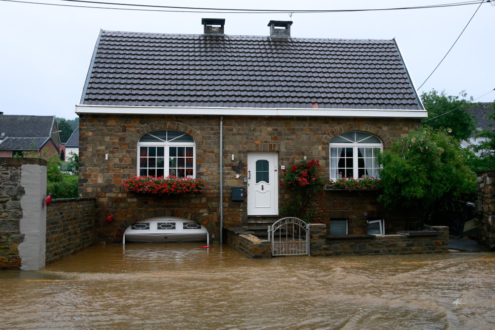 关于比利时遭遇打击，返程望弥补失分损失的信息